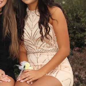 Gold/Nude Sequin Bodycon Dress